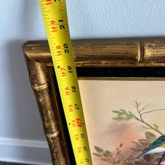 Vintage Bird Painting Frame By Pearl Artist Multicolor Size 15x20 - Picture 2 of 10